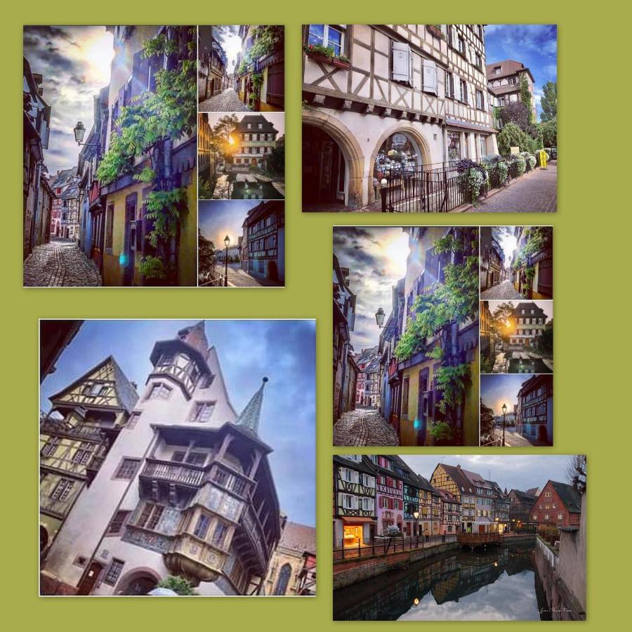 N¨°1 Schongauer Gite De Charme Centre Touristique Кольмар Экстерьер фото